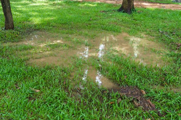 Storm Water Drainage Service in Naperville