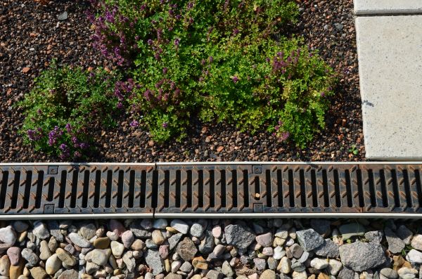 Yard Water Management
