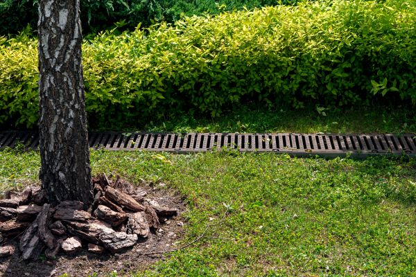 Wet Yard Drainage in Naperville