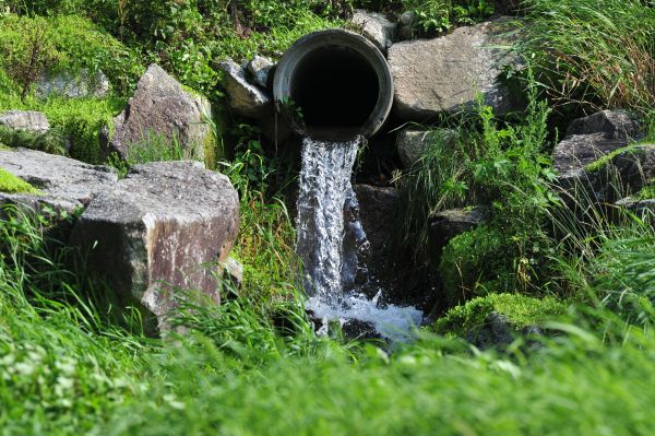 Water Redirection in Naperville