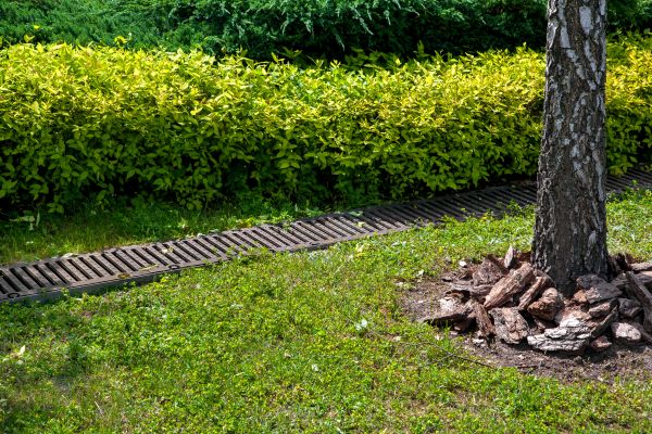 Residential Landscape Drainage in Naperville