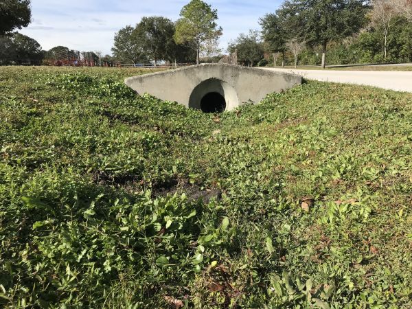 Cost of Swale Drainage Service in Naperville